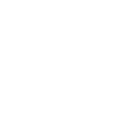 STE Audio